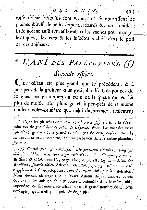 L'Ani des Palétuviers.