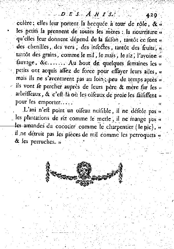 L'Ani des Palétuviers.