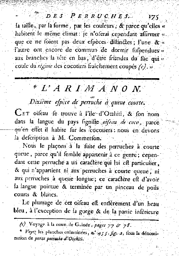 L'Arimanon. de Perruche à queue courte.