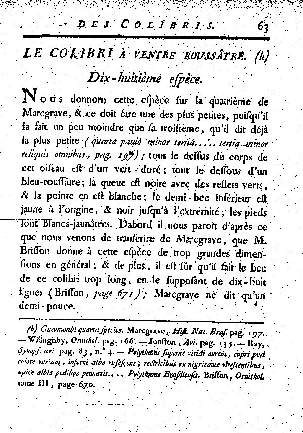 Le Colibri à ventre roussâtre. Dix-.