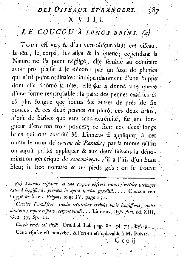 XVIII. Le Coucou à longs brins.