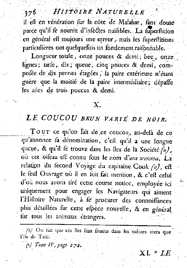 X. Le Coucou brun varié de noir.