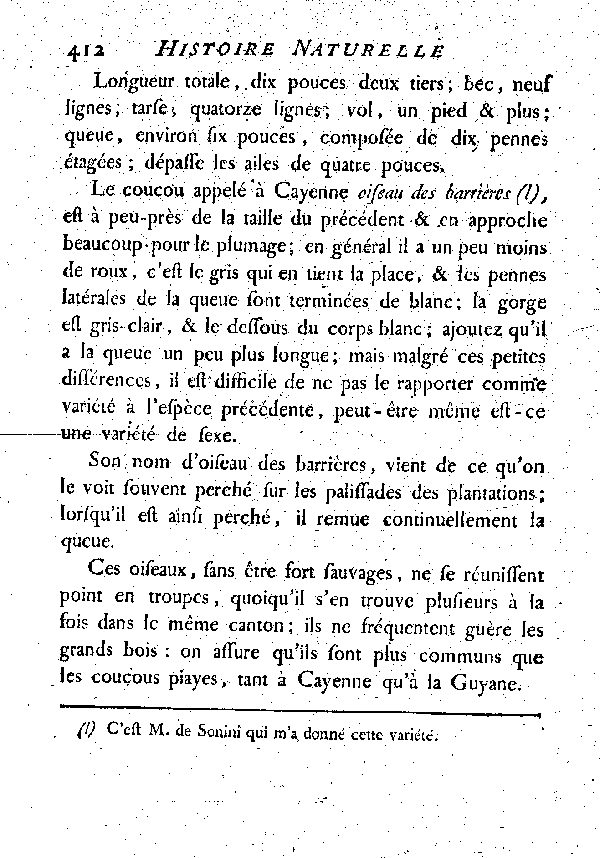 VI. Le Coucou brun varié de roux.