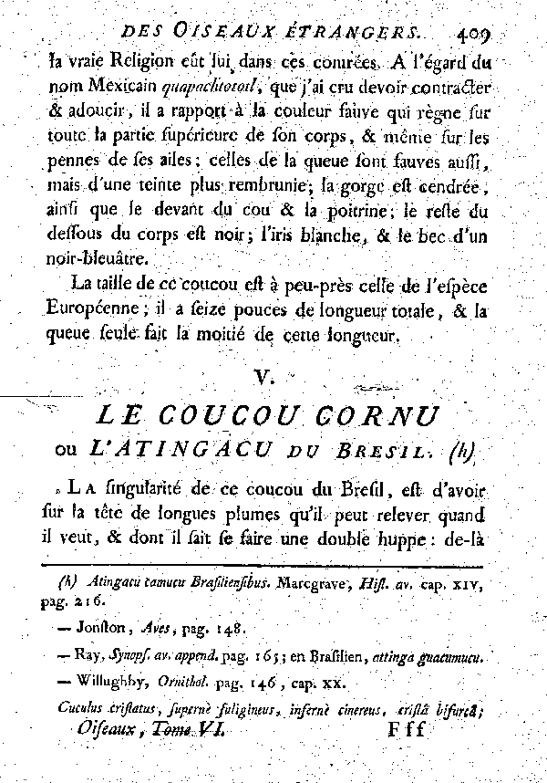 V. Le Coucou cornu ou l'Atingacu du Bresil.
