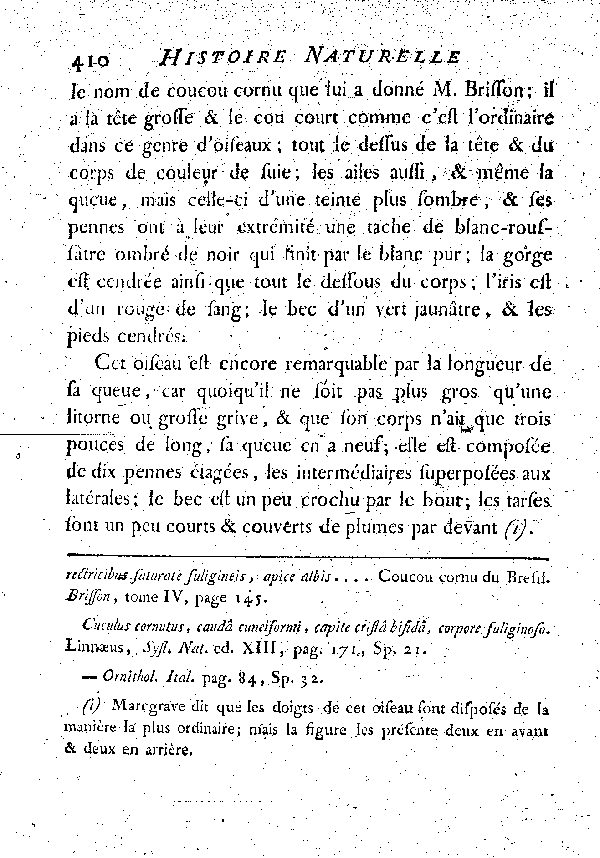 V. Le Coucou cornu ou l'Atingacu du Bresil.