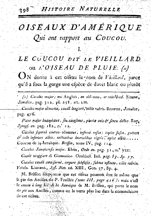 I. Le Coucou, dit le Vieillard ou l'Oiseau de pluie.