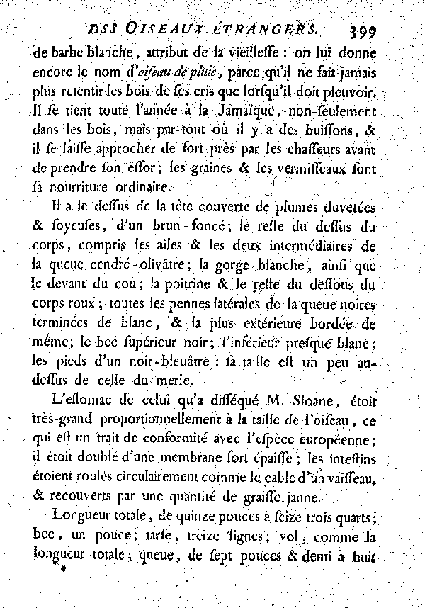 I. Le Coucou, dit le Vieillard ou l'Oiseau de pluie.