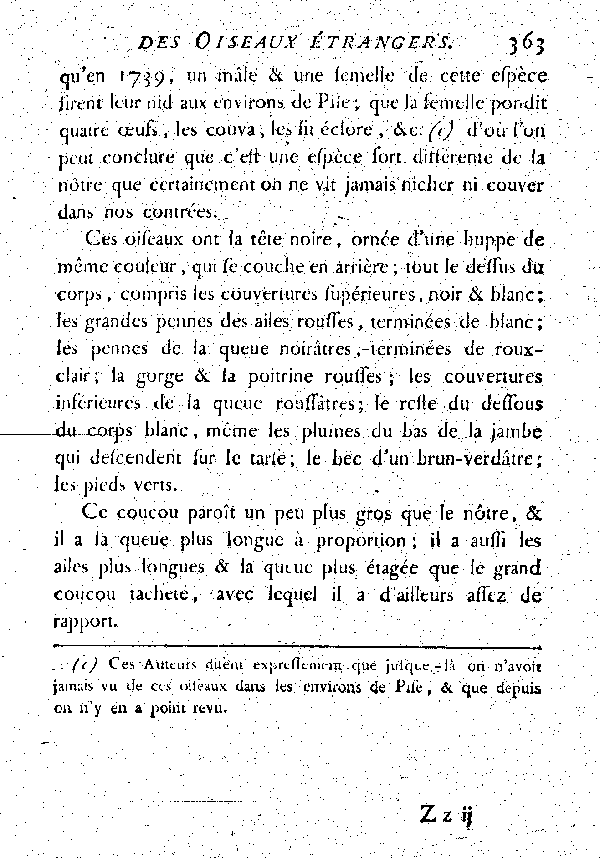 II. Le Coucou huppé noir et blanc.