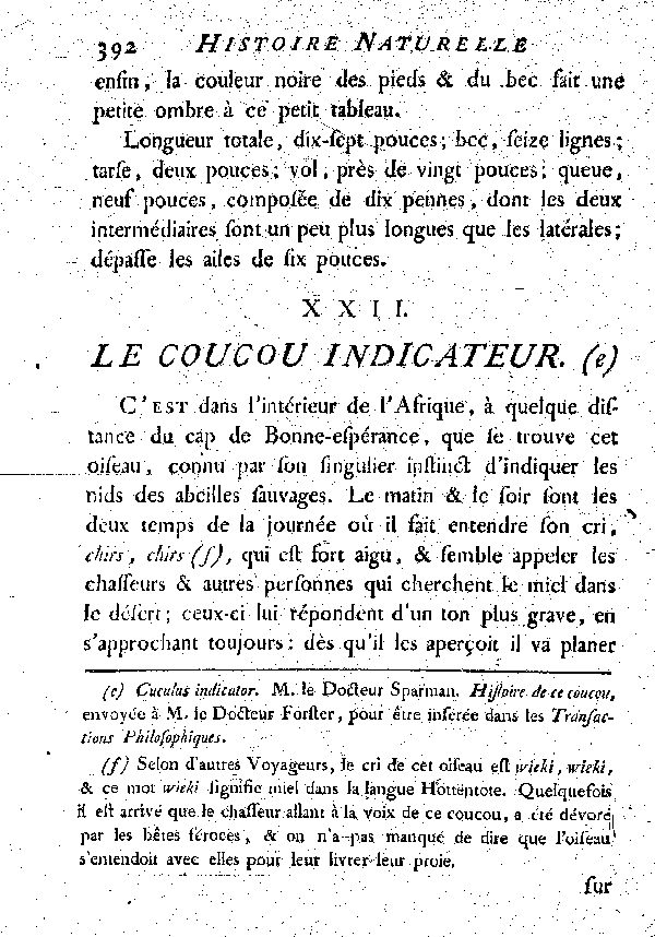 XXII. Le Coucou indicateur.