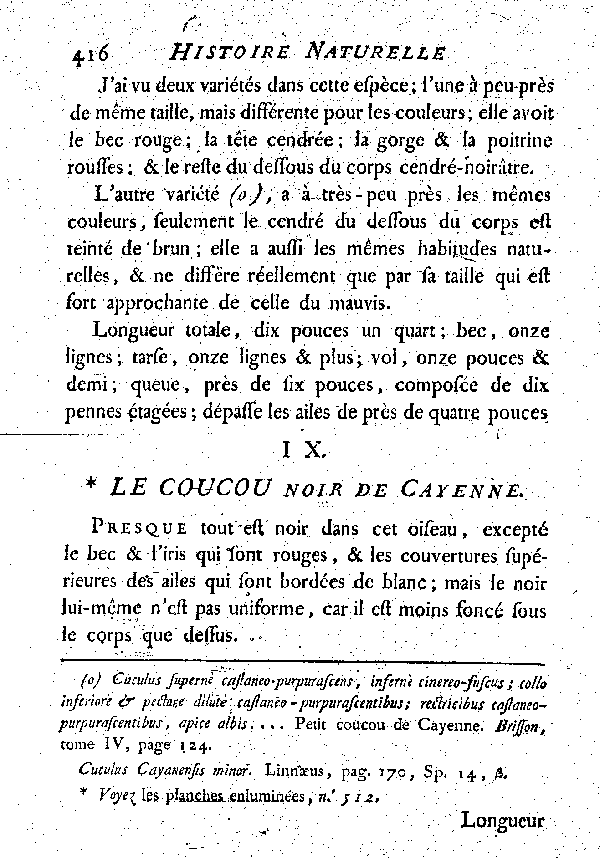 IX. Le Coucou noir de Cayenne.