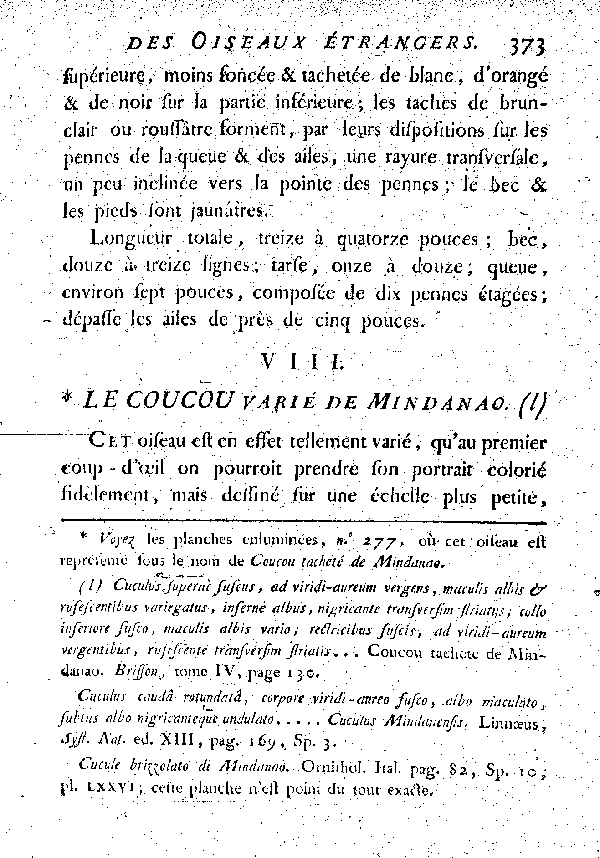 VIII. Le Coucou varié de Mindanao.