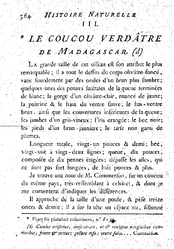 III. Le Coucou verdâtre de Madagascar.