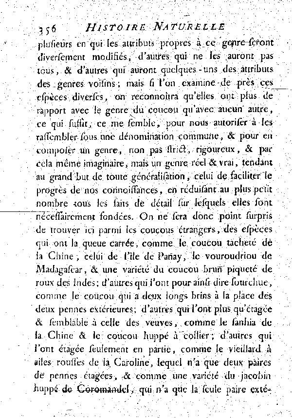 LES COUCOUS étrangers.