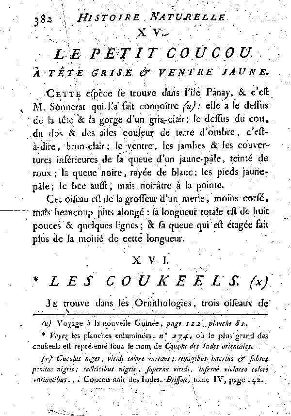 XVI. Les Coukeels.