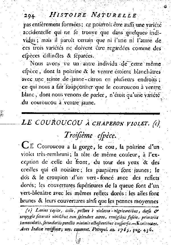 Le Couroucou à chaperon violet.