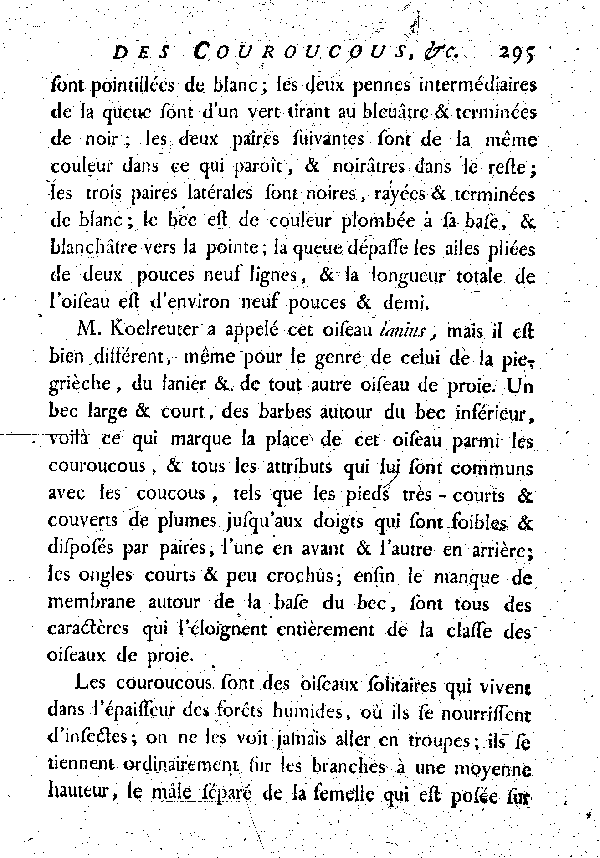 Le Couroucou à chaperon violet.