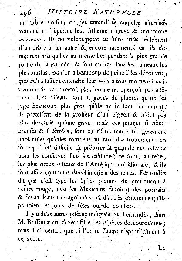 Le Couroucou à chaperon violet.