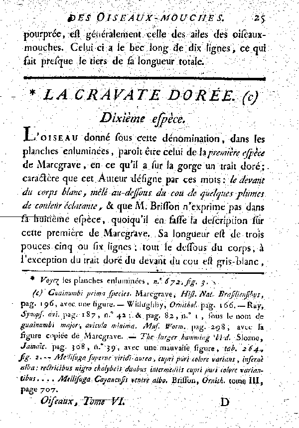 La Cravate dorée.