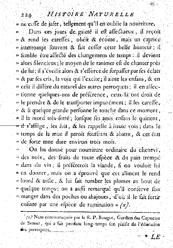 Le Crik à tête et à gorge jaunes.