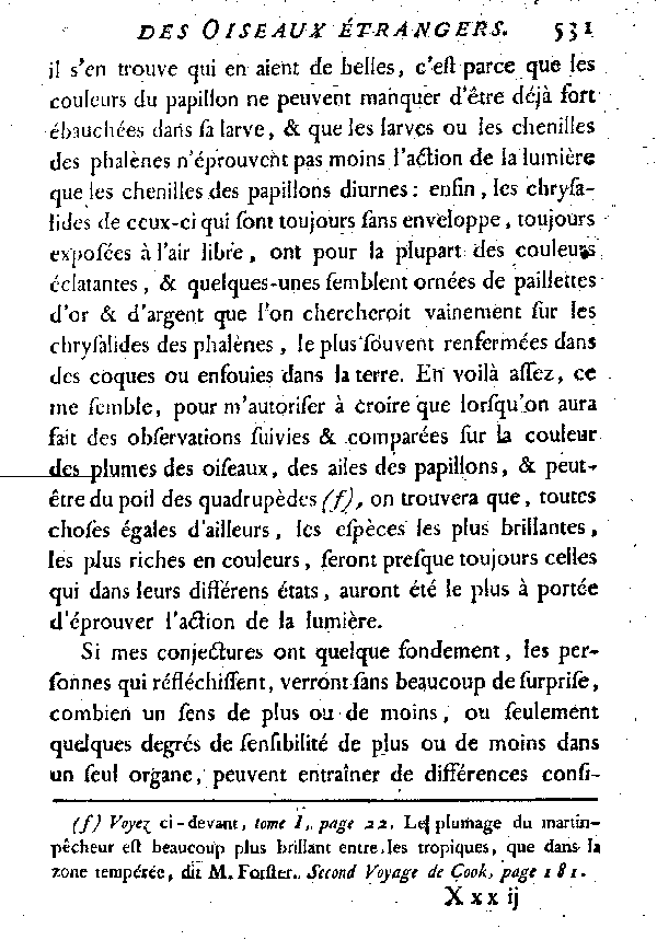 Oiseaux étrangers qui ont rapport à l'Engoulevent.