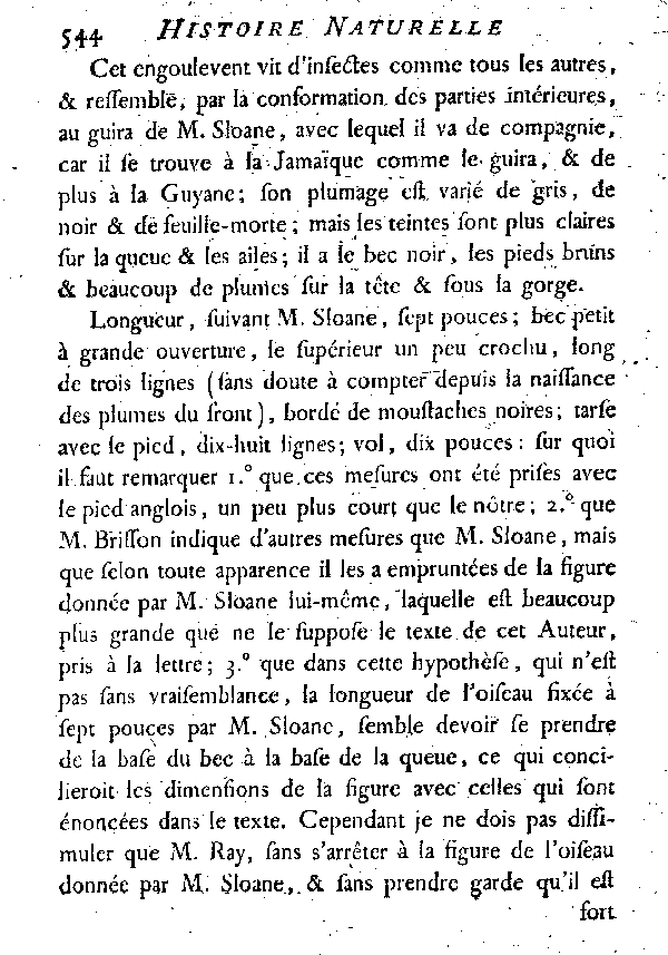 V. L'Engoulevent à lunettes ou le Haleur.