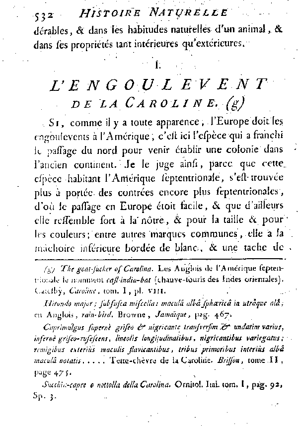 I. L'Engoulevent de la Caroline.