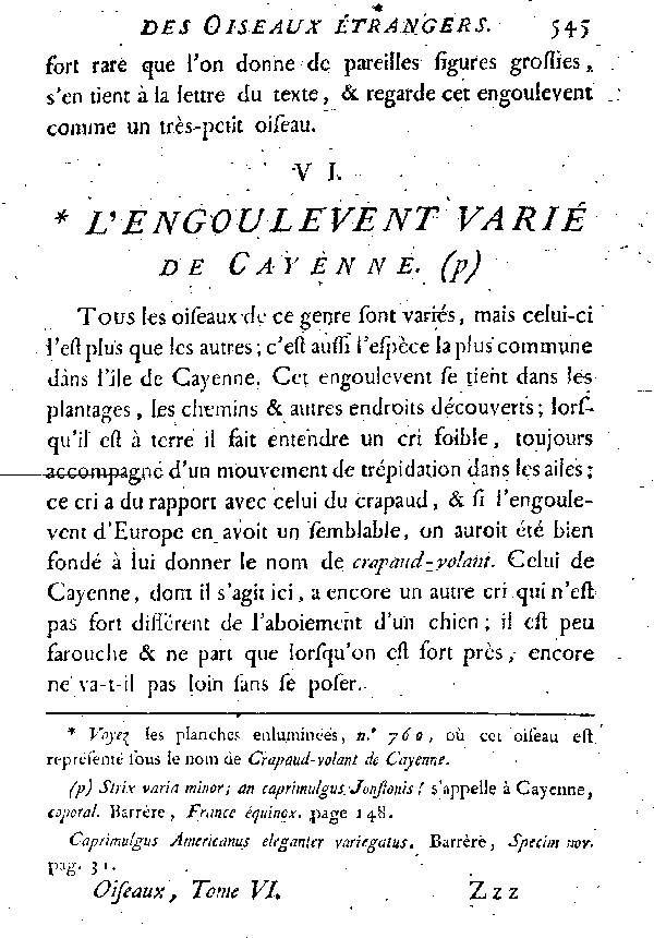 VI. L'Engoulevent varié de Cayenne.