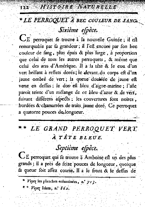 Le grand Perroquet vert à tête bleue.