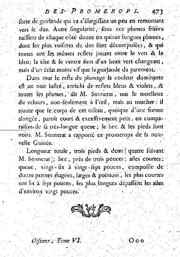 Le grand Promerops à paremens frisés.