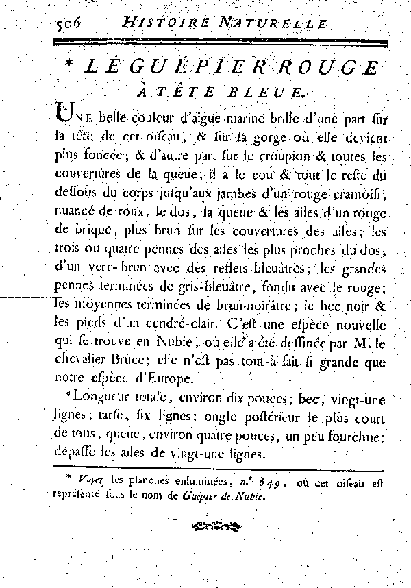 Le Guépier rouge à tête bleue.