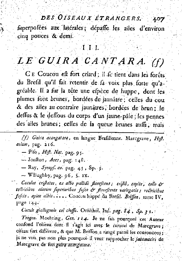 III. Le Guira - cantara.