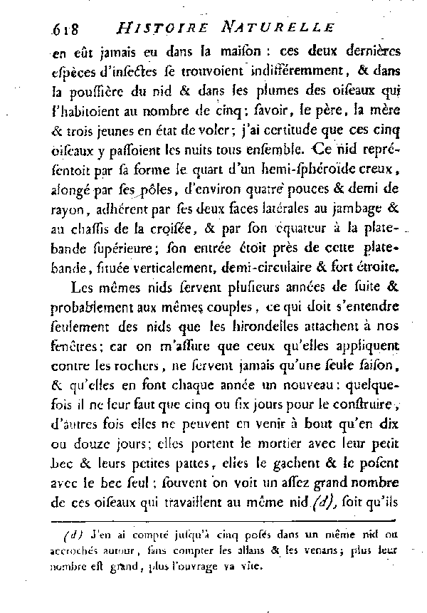 L'Hirondelle au croupion blanc ou l'Hirondelle de fenêtre.