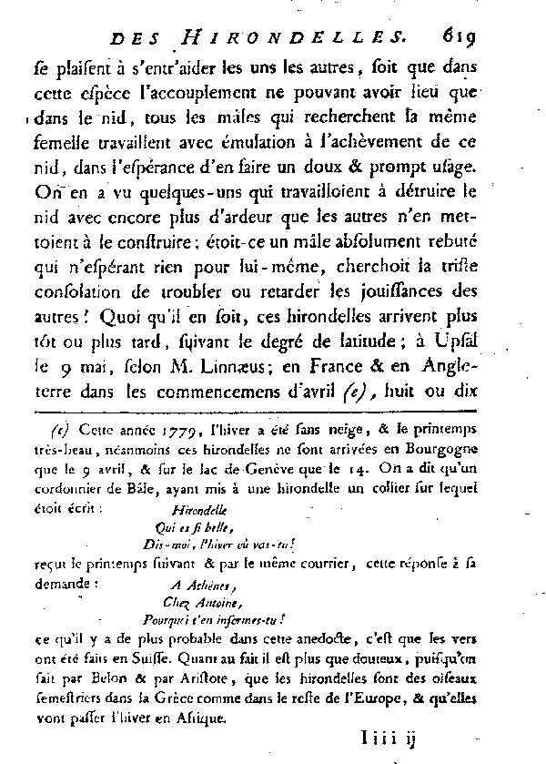 L'Hirondelle au croupion blanc ou l'Hirondelle de fenêtre.