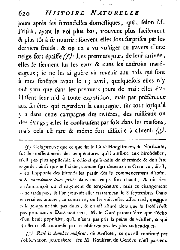 L'Hirondelle au croupion blanc ou l'Hirondelle de fenêtre.