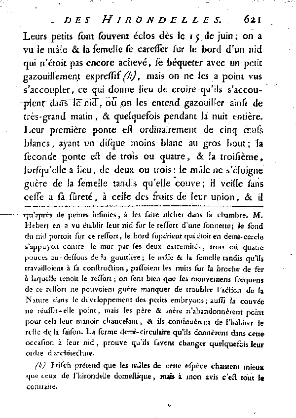 L'Hirondelle au croupion blanc ou l'Hirondelle de fenêtre.