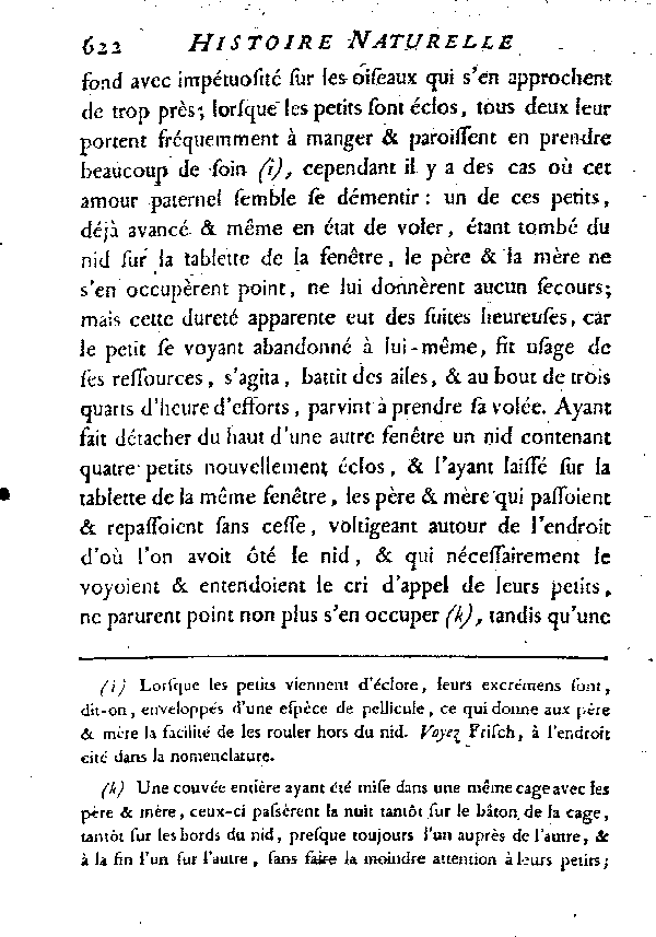 L'Hirondelle au croupion blanc ou l'Hirondelle de fenêtre.