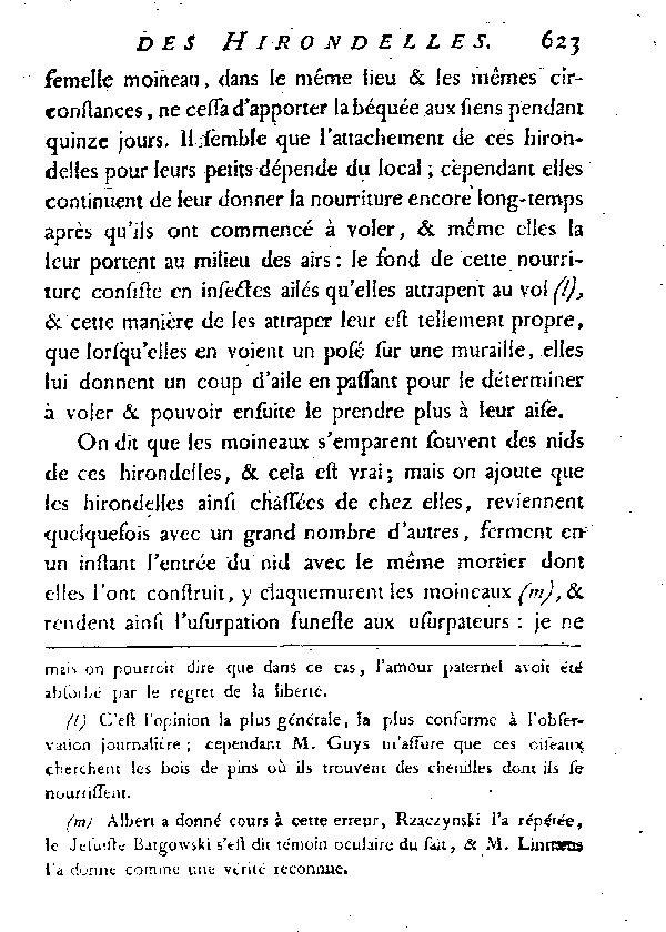 L'Hirondelle au croupion blanc ou l'Hirondelle de fenêtre.