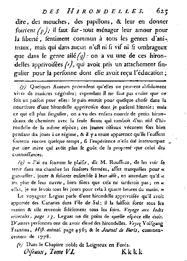 L'Hirondelle au croupion blanc ou l'Hirondelle de fenêtre.