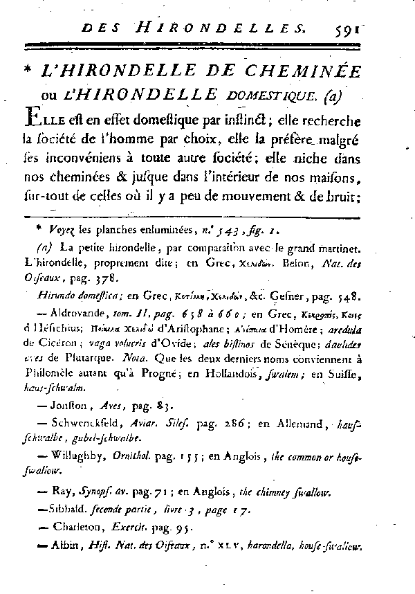 L'Hirondelle de cheminée ou l'Hirondelle domestique.