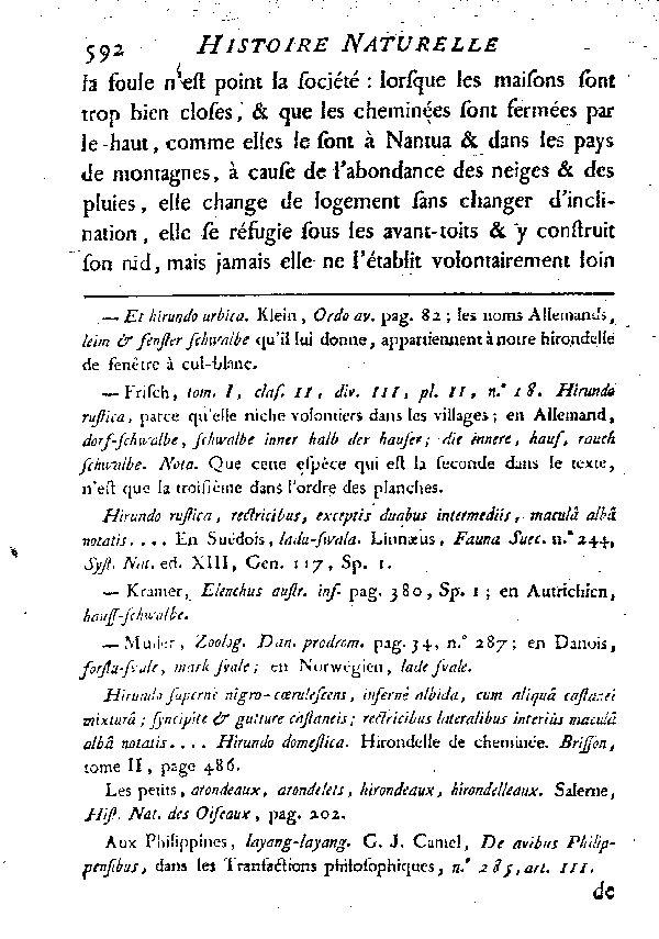 L'Hirondelle de cheminée ou l'Hirondelle domestique.