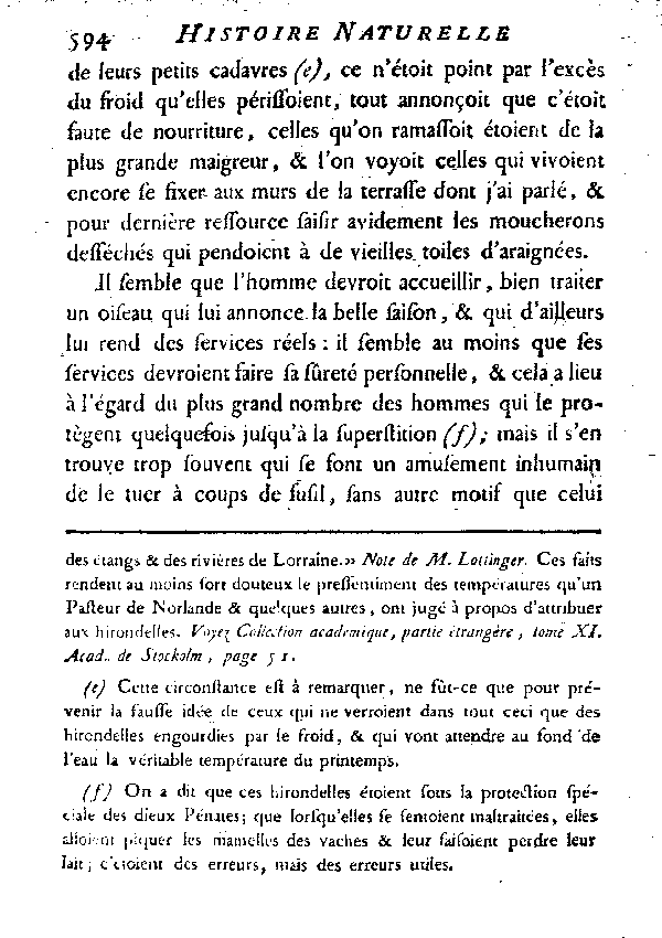 L'Hirondelle de cheminée ou l'Hirondelle domestique.