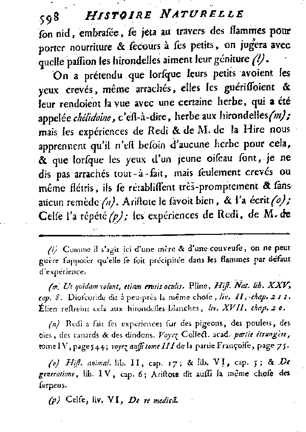 L'Hirondelle de cheminée ou l'Hirondelle domestique.