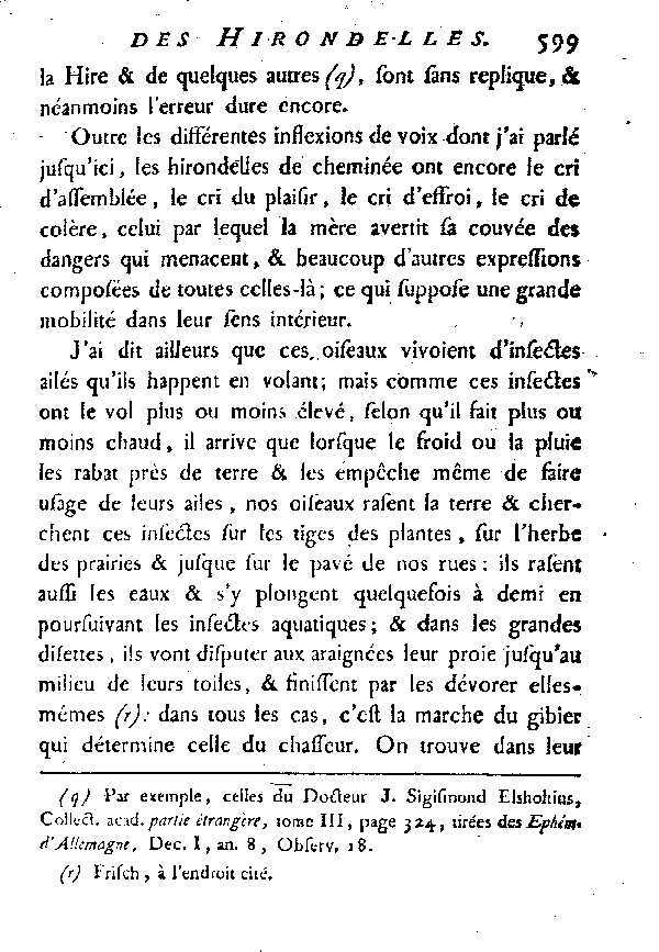 L'Hirondelle de cheminée ou l'Hirondelle domestique.