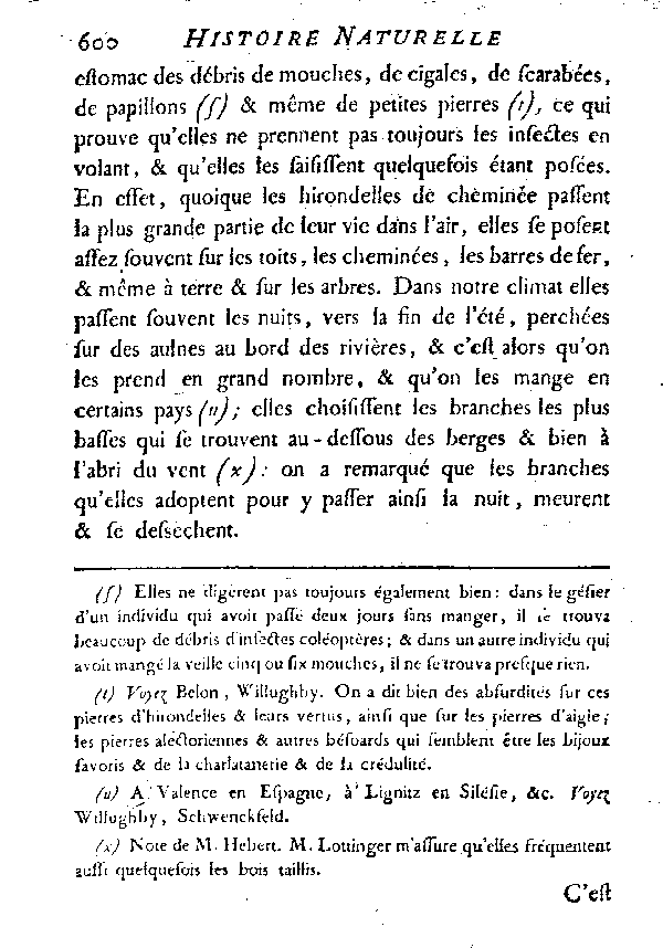 L'Hirondelle de cheminée ou l'Hirondelle domestique.