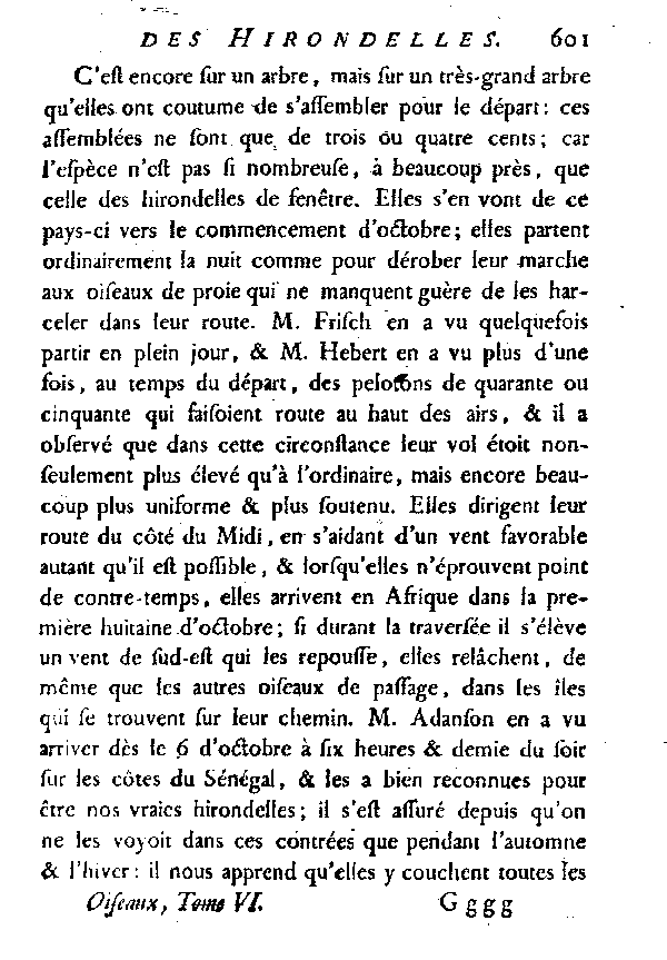 L'Hirondelle de cheminée ou l'Hirondelle domestique.