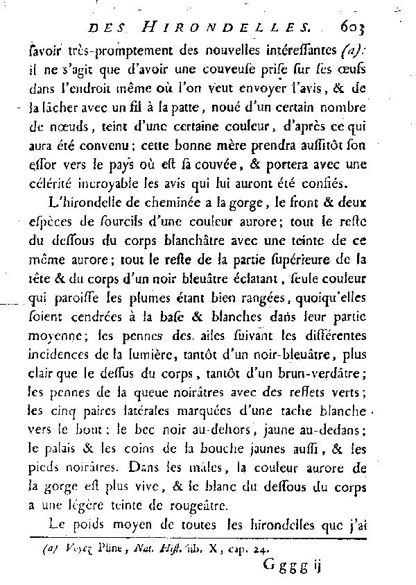 L'Hirondelle de cheminée ou l'Hirondelle domestique.