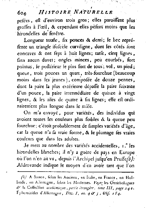 L'Hirondelle de cheminée ou l'Hirondelle domestique.