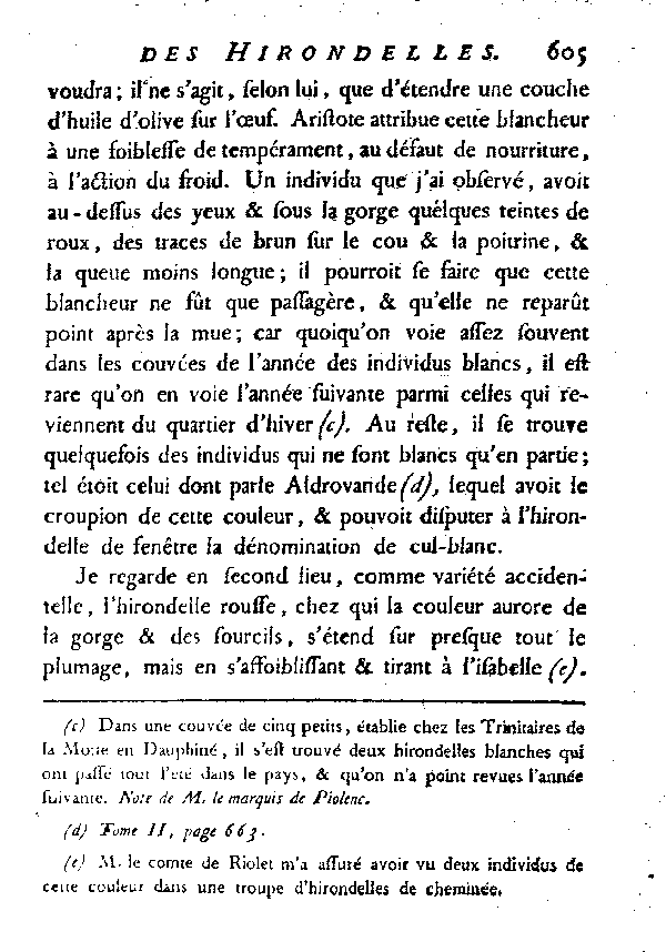 L'Hirondelle de cheminée ou l'Hirondelle domestique.