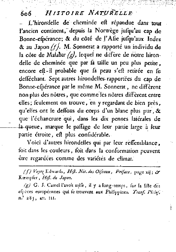 L'Hirondelle de cheminée ou l'Hirondelle domestique.