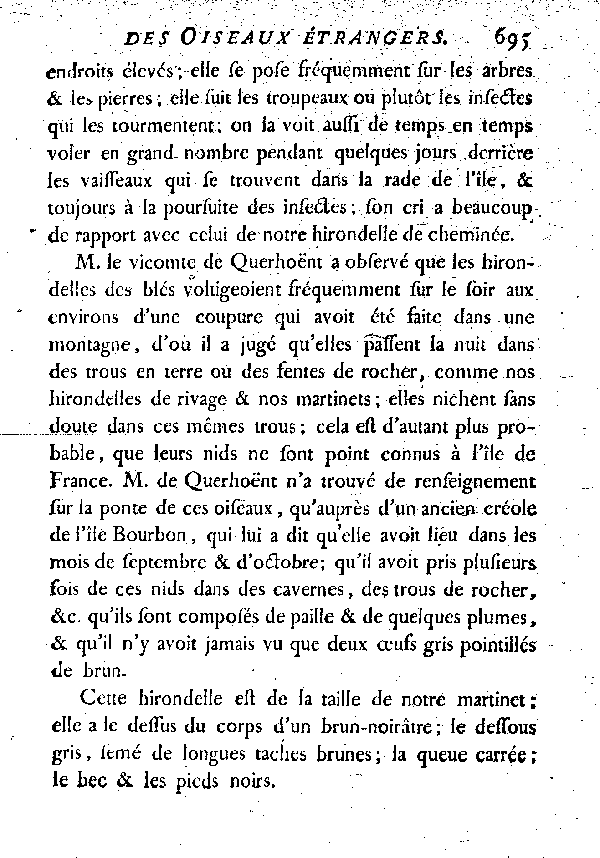 XI. La grande Hirondelle brune à ventre tacheté ou L'Hirondelle des blés.